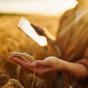 Advisor Certification